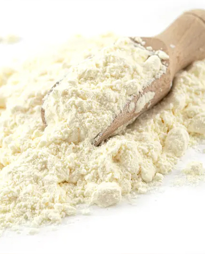 Plant Protein Powder in Sri Lanka Plant Protein Powder in Sri Lanka
